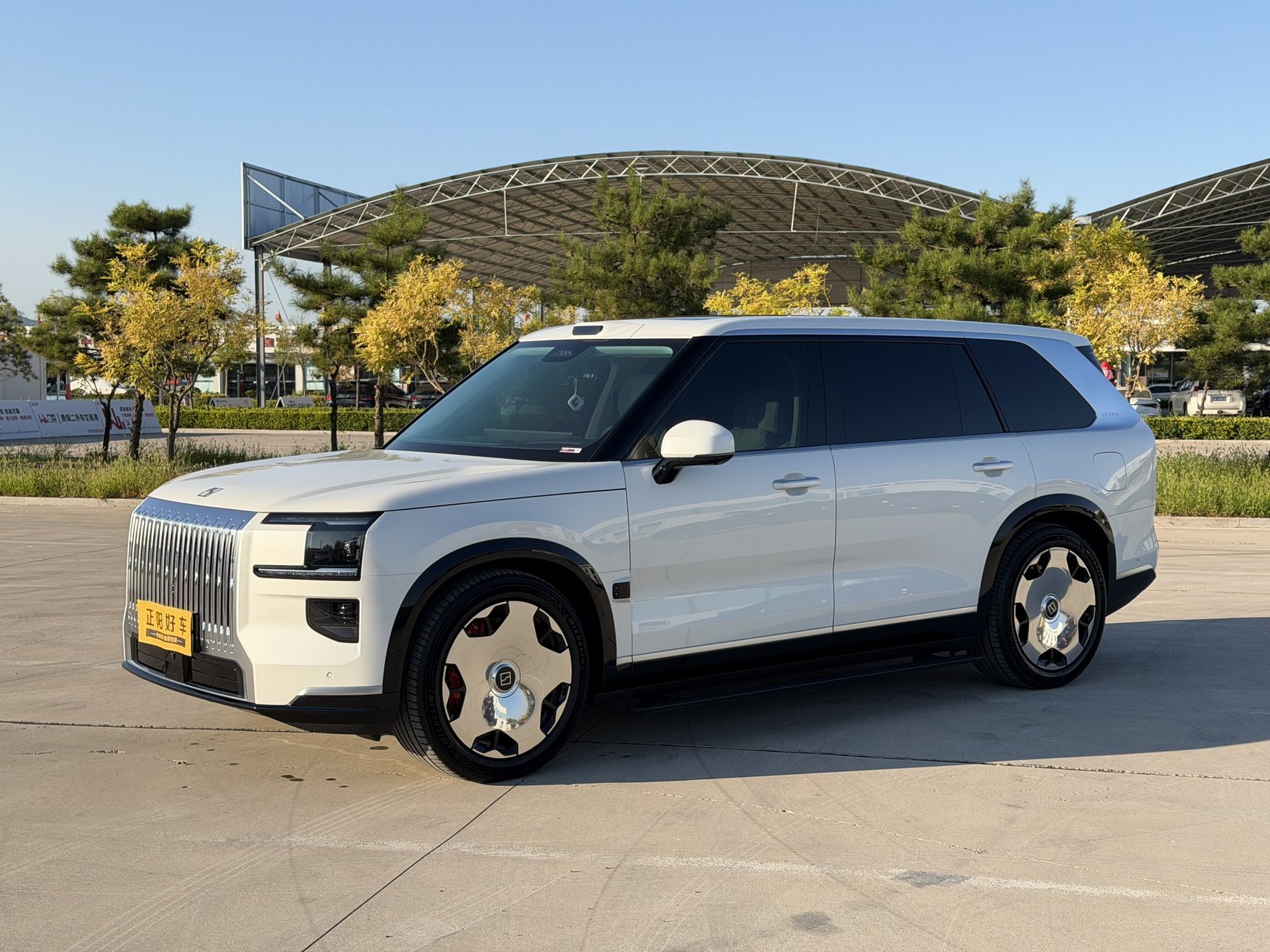 2026 ZEEKR 9X - 2026 SUV, pre-owned car for export from China