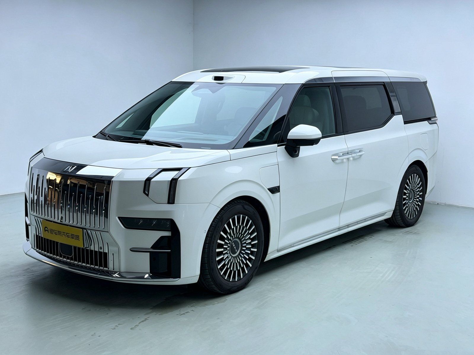 2025 ZEEKR 009 - 2025 MPV, pre-owned car for export from China