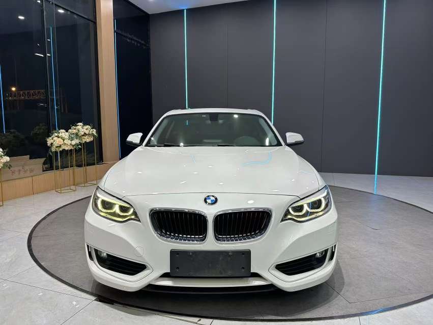 2014 BMW 2 Series - 2014 Coupe, pre-owned car for export from China